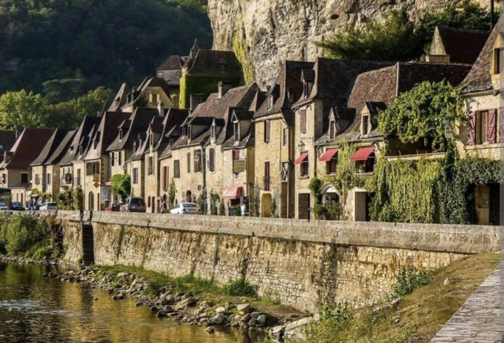 Wonderful House In Sarlat Center With Heated Pool & Jaccuzi别墅 外观 照片